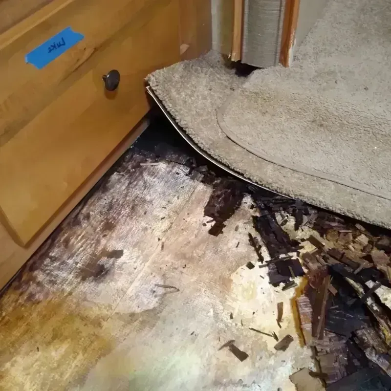 Wood Floor Water Damage in Chattahoochee, FL